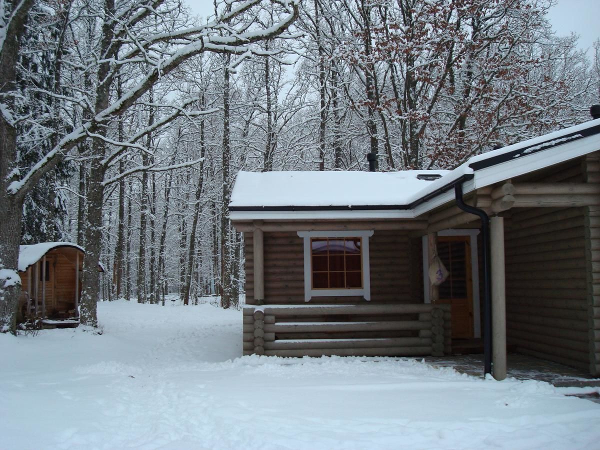 Комплексы для отдыха с коттеджами/бунгало Nelijärve Holiday Centre Аэгвийду-17